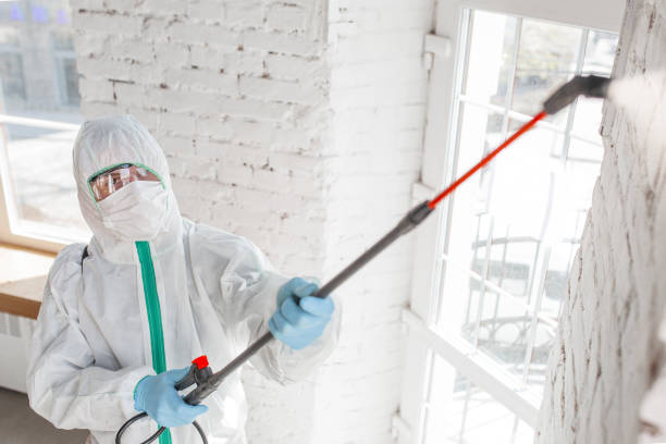 Best Mold Prevention Services  in Elm Creek, NE